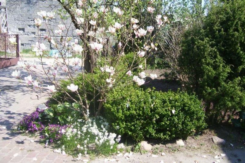Pokoje Goscinne Pod Magnolia Виеле Екстериор снимка